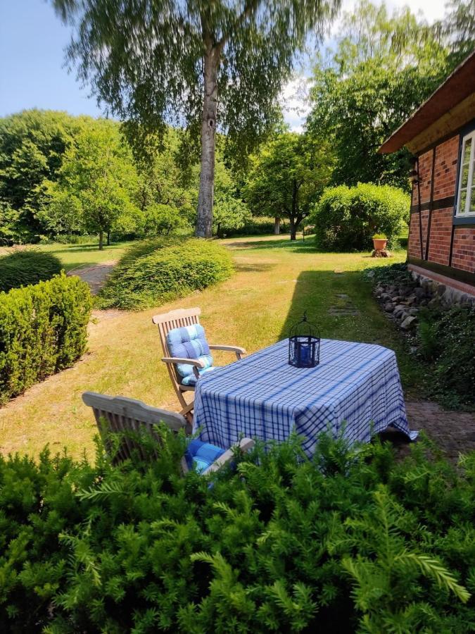Chalet Forsthof Everstorf - Kleine Wohnung เกรเวสมือห์เลน ภายนอก รูปภาพ